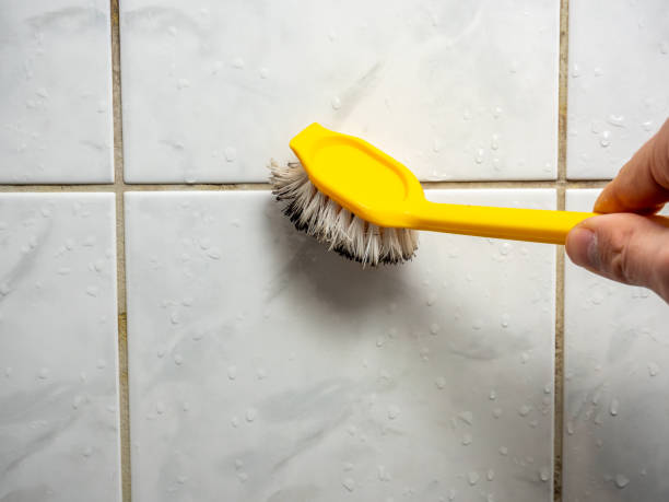 Mold Removal Process in Rockledge, PA
