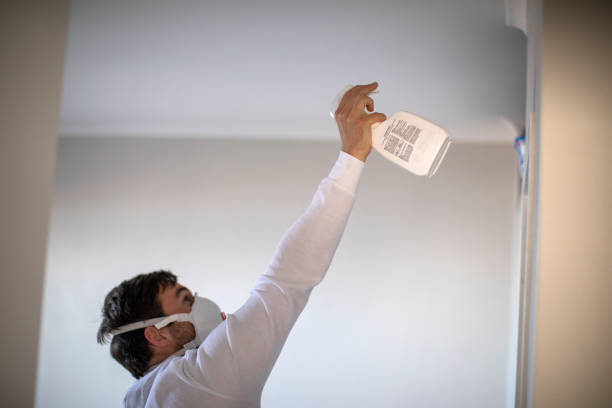 Mold Testing and Removal in Rockledge, PA