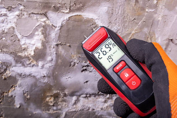 Best Mold Inspection  in Rockledge, PA